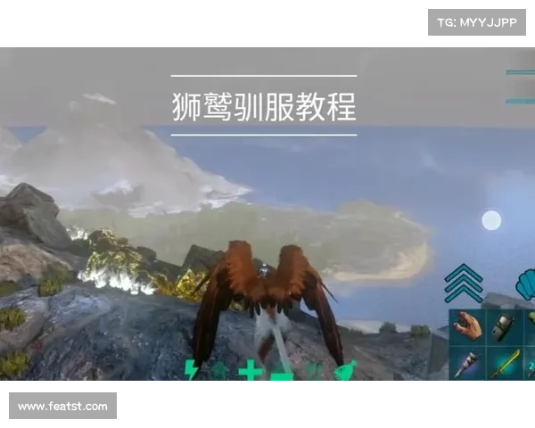 掌握狮鹫驯服技巧全攻略揭秘从新手到大师的终极训练指南 掌握狮鹫驯服技巧全攻略揭秘从新手到大师的终极训练指南